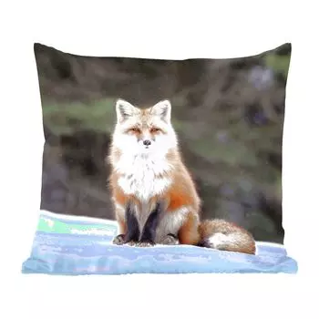MuchoWow Декоративная подушка Диванная подушка Декоративная подушка для гостиной 45 x 45 см Лиса - Снег - Красный - Чехлы на подушки - Декоративные чехлы на подушки - Декоративные наволочки, мультиколор