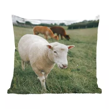 MuchoWow Декоративная подушка Диванная подушка Декоративная подушка для гостиной 45 x 45 см Овцы - Животные - Трава - Чехлы для подушек - Декоративные чехлы для подушек - Декоративные чехлы для подушек