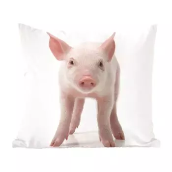 MuchoWow Декоративная подушка Диванная подушка Декоративная подушка для гостиной 45 x 45 см Свинья - Животные - Белый - Чехлы на подушки - Декоративные чехлы на подушки - Декоративные наволочки