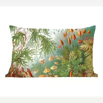 MuchoWow Декоративная подушка Диванная подушка Декоративная подушка для гостиной 60 x 40 см Старые мастера - Искусство - Muscinae - Haeckel - Чехлы на подушки - Декоративные наволочки - Декоративные наволочки