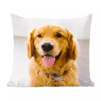 MuchoWow Декоративная подушка Диванная подушка Декоративная подушка для гостиной 60 x 60 см Портрет очень красивого золотистого ретривера - Чехол на подушку - Хлопчатобумажная ткань - Декоративные наволочки