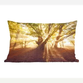 MuchoWow Декоративная подушка Диванная подушка Декоративная подушка для гостиной 60 x 40 см Дерево - Лес - Солнце - Чехлы на подушки - Декоративные чехлы на подушки - Декоративные наволочки