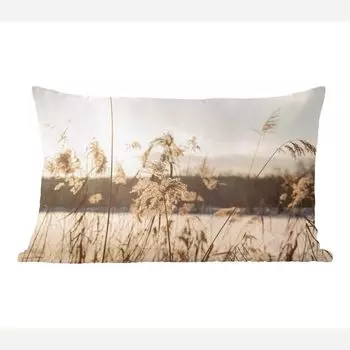 MuchoWow Декоративная подушка Диванная подушка Декоративная подушка для гостиной 60 x 40 см Вода - Пампасная трава - Растения - Чехлы для подушек - Декоративные чехлы для подушек - Декоративные чехлы для подушек