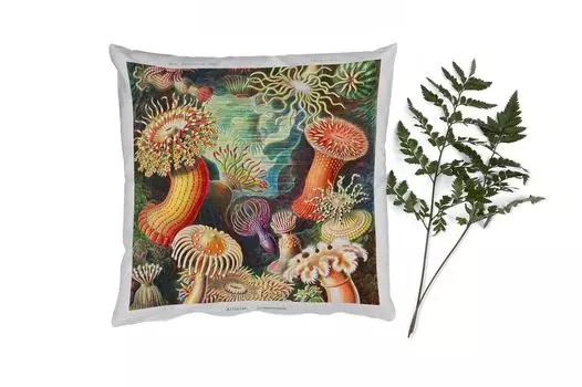 MuchoWow Декоративная подушка Диванная подушка Декоративная подушка для гостиной 45 x 45 см Ernst Haeckel - Anemone - Ретро - Природа - Растения - Море - Наволочки - Декоративные наволочки - Декоративные наволочки
