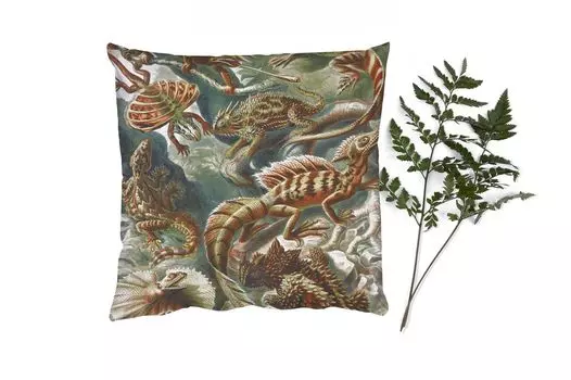 MuchoWow Декоративная подушка Диванная подушка Декоративная подушка для гостиной 45 x 45 см Винтаж - Искусство - Эрнст Геккель - Саламандры - Животные - Чехлы на подушки - Декоративные чехлы на подушки - Декоративные чехлы на подушки