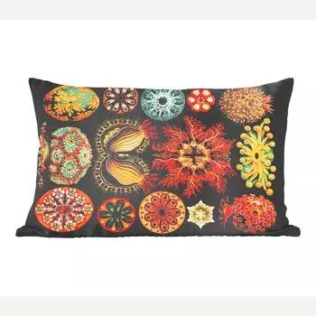 MuchoWow Декоративная подушка Диванная подушка Декоративная подушка для гостиной 50 x 30 см Винтаж - Эрнст Геккель - Морские существа - Природа - Море - Искусство - Чехлы на диванные подушки - без наполнителя