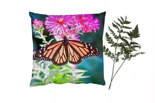 MuchoWow Декоративная подушка Диванная подушка Декоративная подушка для гостиной 60 x 60 см Бабочка - Ботанический - Цветок - Чехол на подушку - Хлопчатобумажная ткань - Декоративные наволочки, мультиколор