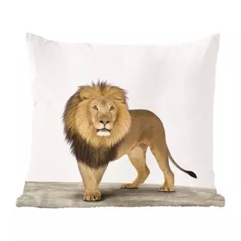 MuchoWow Декоративная подушка Диванная подушка Декоративная подушка для гостиной 50 x 50 см Животные - Лев - Белый - Наволочки - Украшение - Спальня