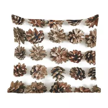 MuchoWow Декоративная подушка Диванная подушка Декоративная подушка для гостиной 45 x 45 см Сосновые шишки - Зима - Белый - Чехлы для подушек - Декоративные чехлы для подушек - Декоративные чехлы для подушек