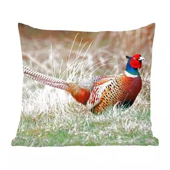 MuchoWow Декоративная подушка Диванная подушка Декоративная подушка для гостиной 50 x 50 см Фазан - Трава - Зима - Наволочки - Украшение - Спальня