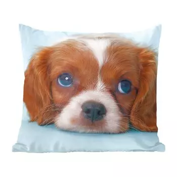 MuchoWow Декоративная подушка Диванная подушка Декоративная подушка для гостиной 60 x 60 см Щенок кавалер-кинг-чарльз-спаниеля - Чехол на подушку - Хлопчатобумажная ткань - Декоративные наволочки