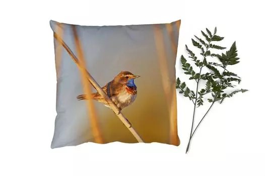 MuchoWow Декоративная подушка Диванная подушка Декоративная подушка для гостиной 60 x 60 см Птицы - Варавки - Тростник - Чехол на подушку - Хлопчатобумажная ткань - Декоративные наволочки