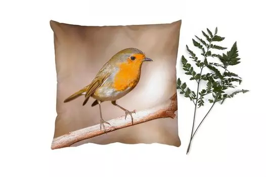 MuchoWow Декоративная подушка Диванная подушка Декоративная подушка для гостиной 45 x 45 см Птица - Ветка - Робин - Чехлы на подушки - Декоративные чехлы на подушки - Декоративные чехлы на подушки