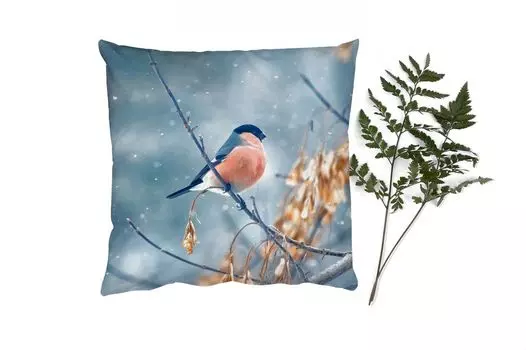 MuchoWow Декоративная подушка Диванная подушка Декоративная подушка для гостиной 50 x 50 см Робин - Птица - Снег - Осенние листья - Наволочки - Украшение - Спальня
