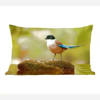 MuchoWow Декоративная подушка Диванная подушка Декоративная подушка для гостиной 60 x 40 см Сорока - Птица - Мох - Чехлы на подушки - Декоративные наволочки - Декоративные наволочки