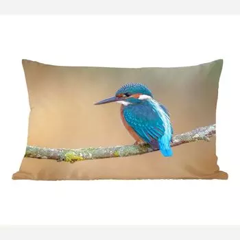 MuchoWow Декоративная подушка Диванная подушка Декоративная подушка для гостиной 50 x 30 см Птица - Зимородок - Животные - Ветка - Чехлы на диванные подушки - без наполнителя