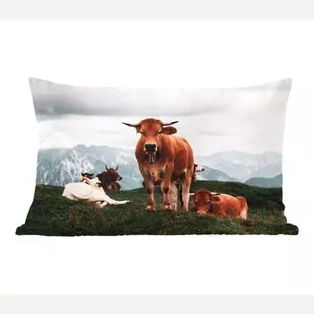 MuchoWow Декоративная подушка Диванная подушка Декоративная подушка для гостиной 60 x 40 см Животные - Корова - Горы - Чехлы на подушки - Декоративные чехлы на подушки - Декоративные чехлы на подушки