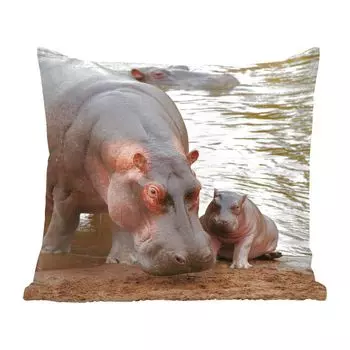 MuchoWow Декоративная подушка Диванная подушка Декоративная подушка для гостиной 45 x 45 см Животные - Бегемоты - Детские - Чехлы на подушки - Декоративные чехлы на подушки - Декоративные чехлы на подушки