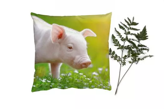 MuchoWow Декоративная подушка Диванная подушка Декоративная подушка для гостиной 45 x 45 см Животные - Поросенок - Свинья - Чехлы на подушки - Декоративные чехлы на подушки - Декоративные чехлы на подушки
