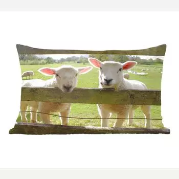MuchoWow Декоративная подушка Диванная подушка Декоративная подушка для гостиной 60 x 40 см Овцы - Животные - Ферма - Чехлы на подушки - Декоративные чехлы на подушки - Декоративные чехлы на подушки