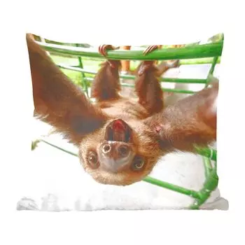 MuchoWow Декоративная подушка Диванная подушка Декоративная подушка для гостиной 60 x 60 см Ленивец - Забавный - Лазалка - Дети - Мальчики - Девочки - Дети - Чехлы на подушки - Хлопчатобумажная ткань - Декоративные наволочки