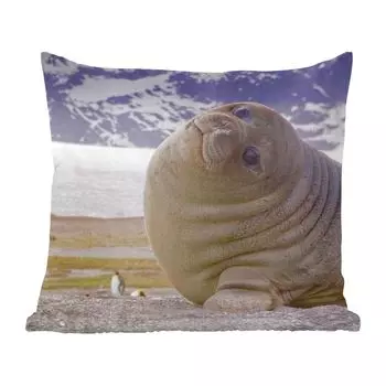 MuchoWow Декоративная подушка Диванная подушка Декоративная подушка для гостиной 45 x 45 см Тюлени - Забавные - Дети - Мальчики - Девочки - Дети - Чехлы на подушки - Декоративные чехлы на подушки - Декоративные чехлы на подушки