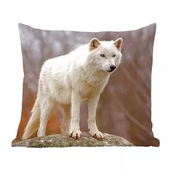 MuchoWow Декоративная подушка Диванная подушка Декоративная подушка для гостиной 50 x 50 см Волк - Камень - Белый - Наволочки - Украшение - Спальня