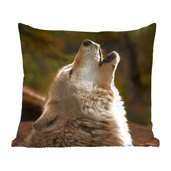 MuchoWow Декоративная подушка Диванная подушка Декоративная подушка для гостиной 45 x 45 см Волк - Серый - Животные - Чехлы на подушки - Декоративные чехлы на подушки - Декоративные чехлы на подушки
