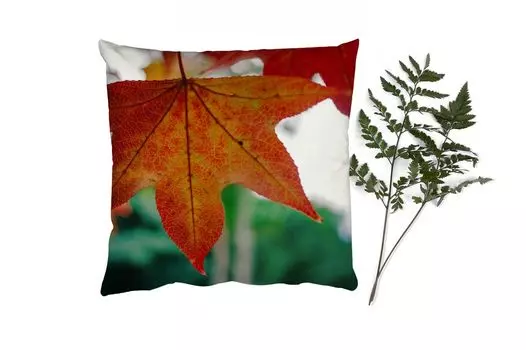 MuchoWow Декоративная подушка Диванная подушка Декоративная подушка для гостиной 45 x 45 см Осень - Деревенская жизнь - Листья - Времена года - Деревенская жизнь - Чехлы на подушки - Декоративные чехлы на подушки - Декоративные наволочки