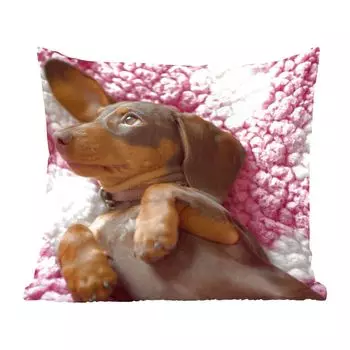 MuchoWow Декоративная подушка Диванная подушка Декоративная подушка для гостиной 50 x 50 см Щенок таксы на розовом одеяле - Чехлы на подушки - Украшение - Спальня