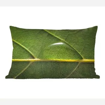 MuchoWow Декоративная подушка Диванная подушка Декоративная подушка для гостиной 60 x 40 см Фотография капли воды на ботаническом листе - Чехлы для подушек - Декоративные чехлы для подушек - Декоративные чехлы для подушек