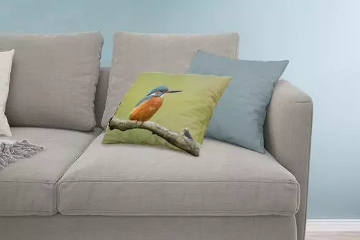 MuchoWow Декоративная подушка Диванная подушка Декоративная подушка для гостиной 60 x 40 см Зимородок - Оранжевый - Ветки - Чехлы для подушек - Декоративные чехлы для подушек - Декоративные чехлы для подушек