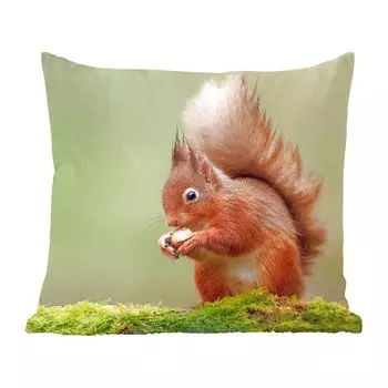 MuchoWow Декоративная подушка Диванная подушка Декоративная подушка для гостиной 45 x 45 см Красная белка - Чехлы на подушки - Декоративные чехлы на подушки - Декоративные наволочки