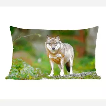 MuchoWow Декоративная подушка Диванная подушка Декоративная подушка для гостиной 60 x 40 см Волк - Азия - Растения - Чехлы для подушек - Декоративные чехлы для подушек - Декоративные чехлы для подушек
