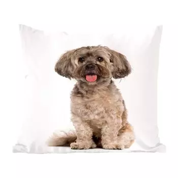 MuchoWow Декоративная подушка Диванная подушка Декоративная подушка для гостиной 45 x 45 см Сидящая собака Ши-тцу на белом фоне - Чехлы для подушек - Декоративные чехлы для подушек - Декоративные чехлы для подушек