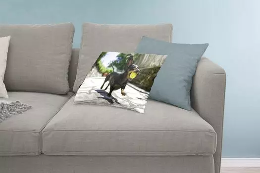 MuchoWow Декоративная подушка Диванная подушка Декоративная подушка для гостиной 60 x 40 см Черная такса с теннисным мячом - Чехлы на подушки - Декоративные наволочки - Декоративные наволочки