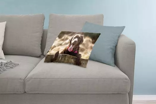 MuchoWow Декоративная подушка Диванная подушка Декоративная подушка для гостиной 60 x 40 см Лабрадор-ретривер смотрит через забор - Чехлы на подушки - Декоративные наволочки - Декоративные наволочки