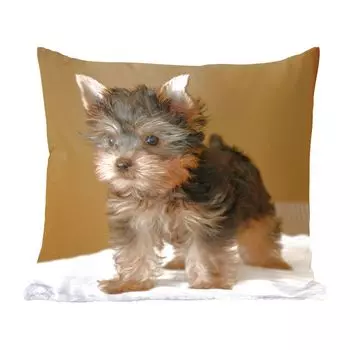 MuchoWow Декоративная подушка Диванная подушка Декоративная подушка для гостиной 45 x 45 см Портрет йоркширского терьера - Чехлы для подушек - Декоративные чехлы для подушек - Декоративные чехлы для подушек