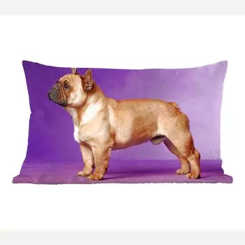 MuchoWow Декоративная подушка Диванная подушка Декоративная подушка для гостиной 50 x 30 см Французский бульдог - Коричневый - Фиолетовый - Чехлы на диванные подушки - без наполнителя