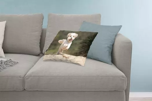 MuchoWow Декоративная подушка Диванная подушка Декоративная подушка для гостиной 60 x 40 см Собака Ши-тцу прыгает по желтому песку - Чехлы на подушки - Декоративные наволочки - Декоративные наволочки