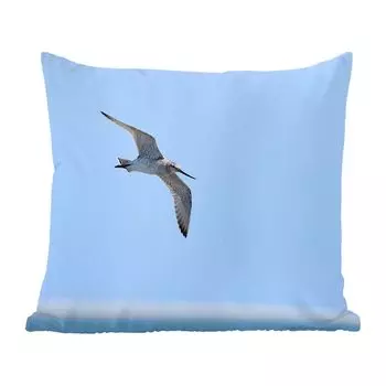 MuchoWow Декоративная подушка Диванная подушка Декоративная подушка для гостиной 45 x 45 см Красноклювый бекас, летящий над пляжем - Чехлы на подушки - Декоративные чехлы на подушки - Декоративные чехлы на подушки