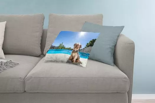 MuchoWow Декоративная подушка Диванная подушка Декоративная подушка для гостиной 60 x 40 см Йоркширский терьер у бассейна в солнечный день - Чехлы на подушки - Декоративные наволочки - Декоративные наволочки