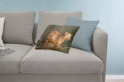 MuchoWow Декоративная подушка Диванная подушка Декоративная подушка для гостиной 60 x 40 см Капибара стоит в воде - Чехлы на подушки - Декоративные наволочки - Декоративные наволочки