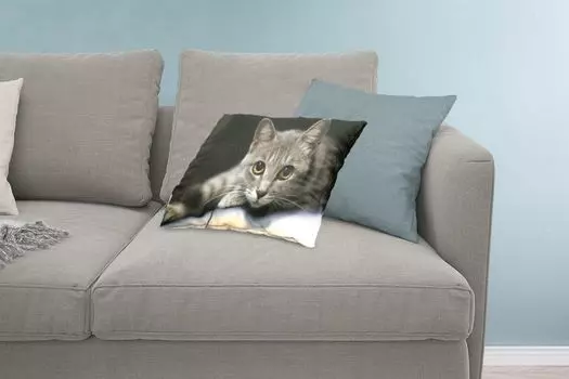 MuchoWow Декоративная подушка Диванная подушка Декоративная подушка для гостиной 60 x 40 см Кот - Серый - Голова - Чехлы на подушки - Декоративные чехлы на подушки - Декоративные чехлы на подушки