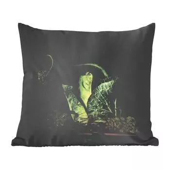 MuchoWow Декоративная подушка Диванная подушка Декоративная подушка для гостиной 45 x 45 см Картина - Натюрморт - Цветок - Зеленый - Украшение стен - Чехлы для подушек - Декоративные чехлы для подушек - Декоративные чехлы для подушек