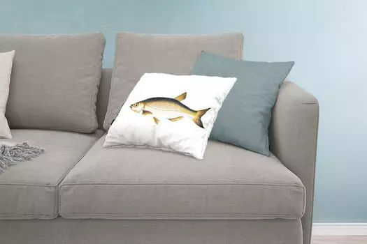MuchoWow Декоративная подушка Диванная подушка Декоративная подушка для гостиной 60 x 40 см Рыба - Плотва - Реализм - Чехлы для подушек - Декоративные чехлы для подушек - Декоративные чехлы для подушек