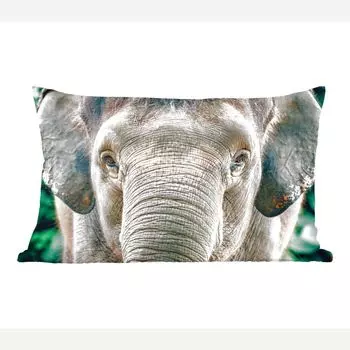 MuchoWow Декоративная подушка Диванная подушка Декоративная подушка для гостиной 60 x 40 см Портрет слона крупным планом - Чехлы на подушки - Декоративные чехлы на подушки - Декоративные наволочки