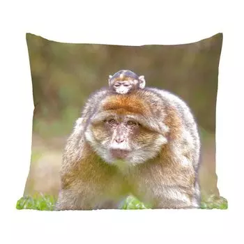 MuchoWow Декоративная подушка Диванная подушка Декоративная подушка для гостиной 45 x 45 см Берберийская обезьянка с молодым животным - Чехлы на подушки - Декоративные чехлы на подушки - Декоративные наволочки