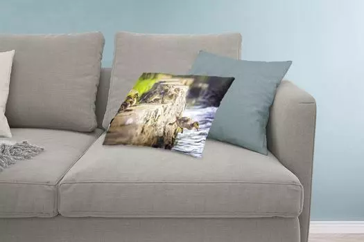 MuchoWow Декоративная подушка Диванная подушка Декоративная подушка для гостиной 60 x 40 см Утки - Камни - Цыплята - Чехлы для подушек - Декоративные чехлы для подушек - Декоративные чехлы для подушек