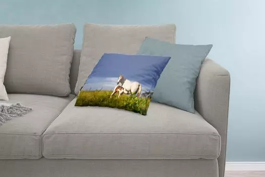 MuchoWow Декоративная подушка Диванная подушка Декоративная подушка для гостиной 60 x 40 см Лошади - Трава - Жеребенок - Чехлы на подушки - Декоративные чехлы на подушки - Декоративные чехлы на подушки